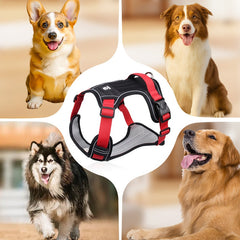 🐶🔥 50% ZNIŻKI NA CZAS OGRANICZONY! Uprząż antyciągowa ze smyczą i obrożą ✨ Maksymalna kontrola i bezpieczeństwo podczas każdego spaceru 🌙