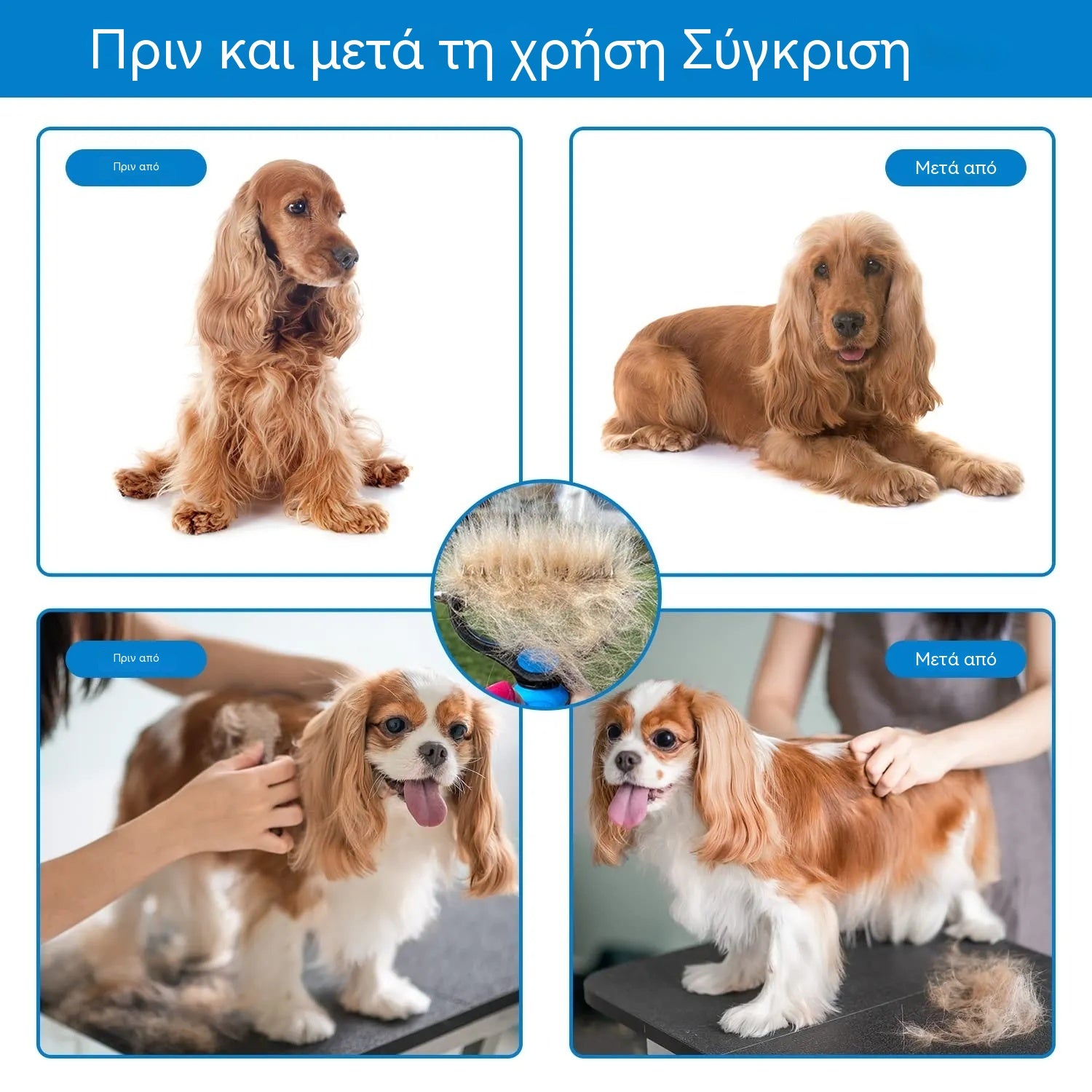 Αγοράστε ένα, πάρτε ένα δωρεάν! 🐾 Επαγγελματικό εργαλείο για την αφαίρεση νεκρών τριχών από σκύλους και γάτες: απαλό, αποτελεσματικό και χωρίς τρίχες στο σπίτι (2 τεμάχια)