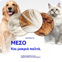 Αγοράστε ένα, πάρτε ένα δωρεάν! 🐾 Επαγγελματικό εργαλείο για την αφαίρεση νεκρών τριχών από σκύλους και γάτες: απαλό, αποτελεσματικό και χωρίς τρίχες στο σπίτι (2 τεμάχια)