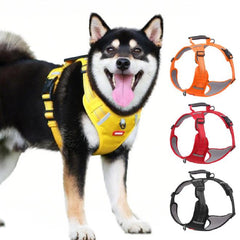 🔥Hit Sprzedaży 🐶 【5–30 kg】Szelka przeciw ciągnięciu – 🎁 Idealny prezent dla każdego miłośnika psów